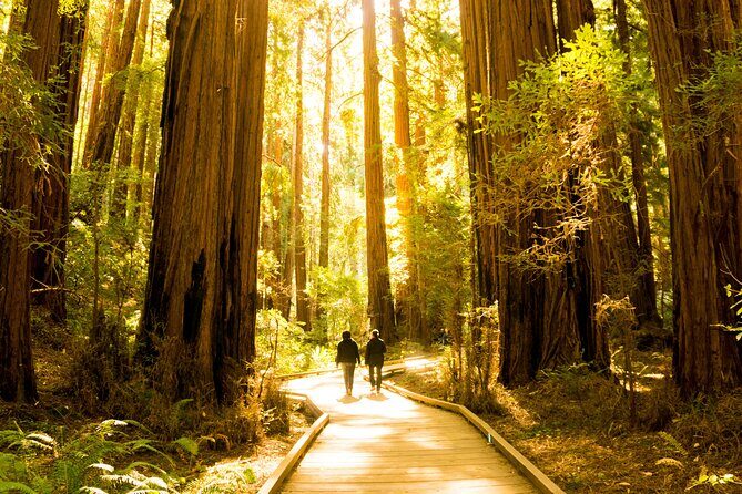 Muir Woods & Sausalito Tour + Hop-On Hop-Off Tour - Who Should Consider This Tour?
