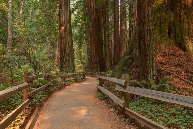 Muir Woods Self-Guided Driving and Walking Audio Tour - Final Thoughts