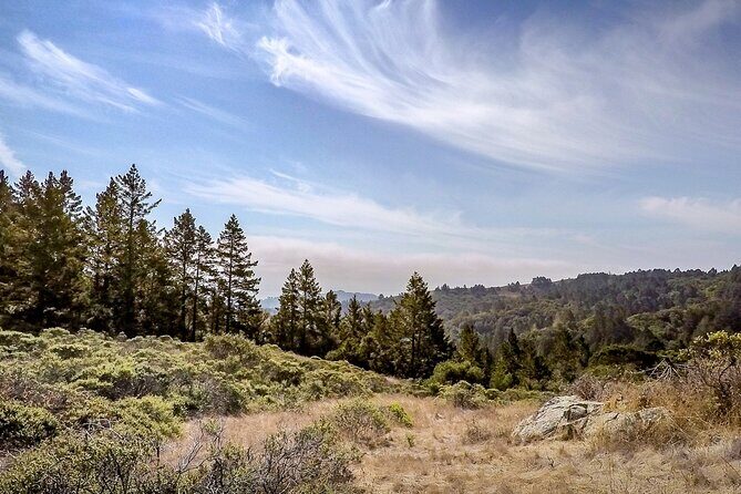 Muir Woods Self-Guided Driving and Walking Audio Tour - FAQ