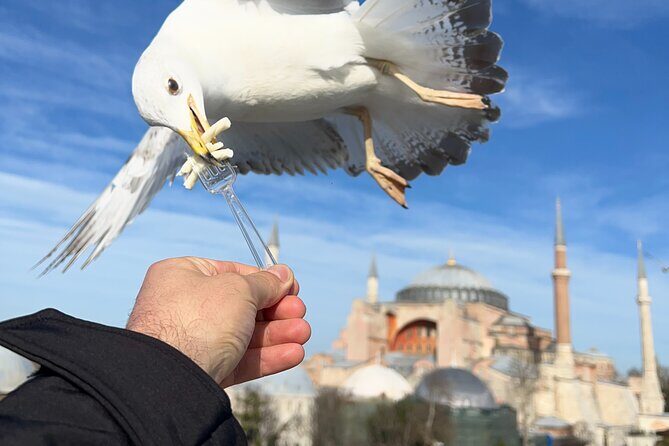 Multi 2 Days Private Guided Istanbul Iconic Landmarks City Tour - Final Thoughts