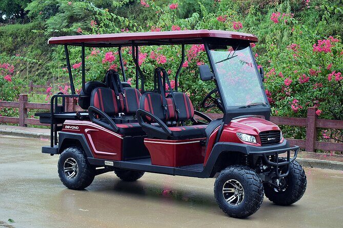 Multi Day 6 Passenger LSV Golf Cart Rental - Exploring Charleston in Style: A Close Look at the Multi Day 6 Passenger LSV Golf Cart Rental