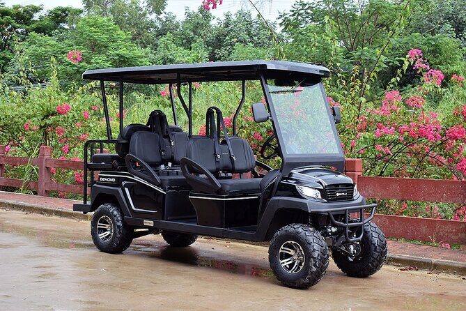 Multi Day 6 Passenger LSV Golf Cart Rental - A Closer Look at the Experience