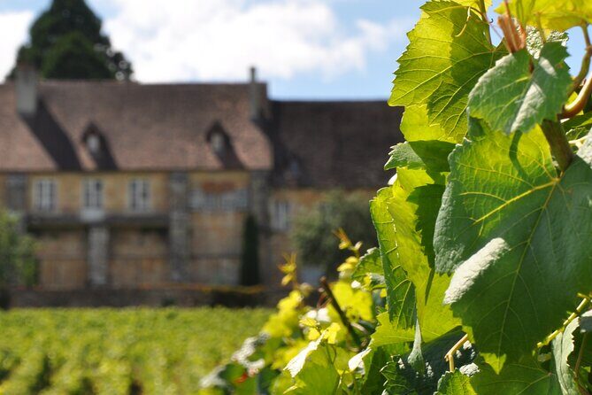 Multi Day Private Tour Prestige Burgundy with 12 Premiers & Grands Crus - The Experience at a Glance