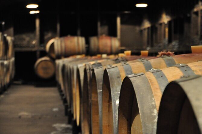 Multi Day Private Tour Prestige Burgundy with 12 Premiers & Grands Crus - Practical Details & Considerations