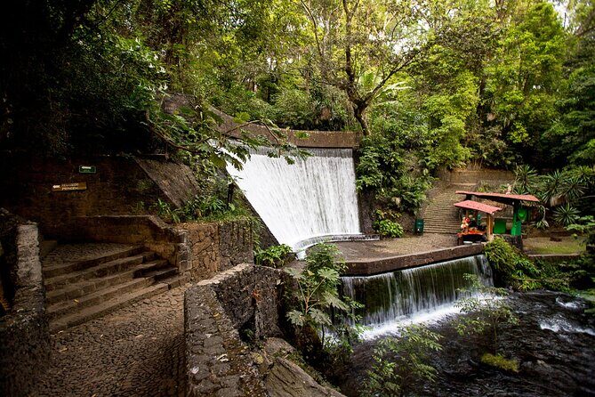 Multi Day Tequila Tour - The Real Experience: Pros and Cons