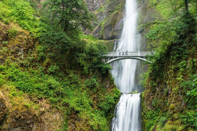 Multnomah Falls and Columbia River Gorge Waterfalls Tour Morning - An In-Depth Look at the Tour Experience