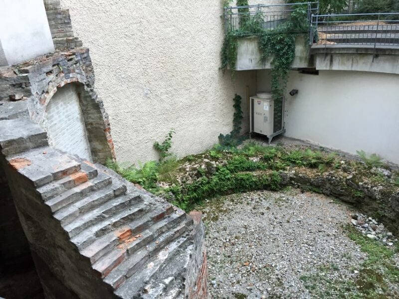 Munich: City Highlights and Beer Garden Walking Tour - The Experience and Traveler Feedback