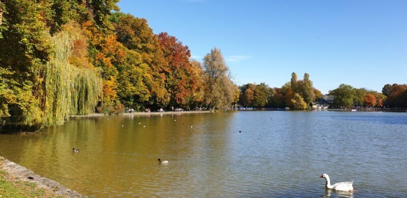 Munich: City Highlights Guided Segway Tour - Who Is This Tour Best For?