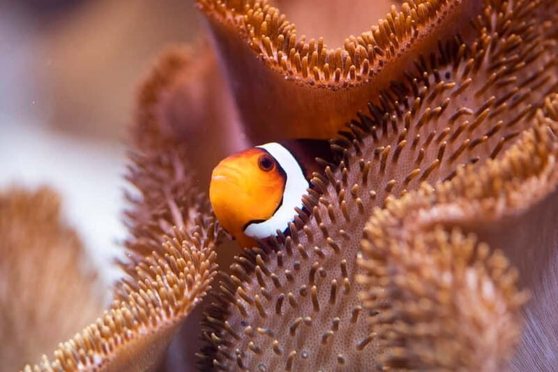 Munich: Day Ticket to Sea Life - The Experience: What You Can Expect on Your Visit