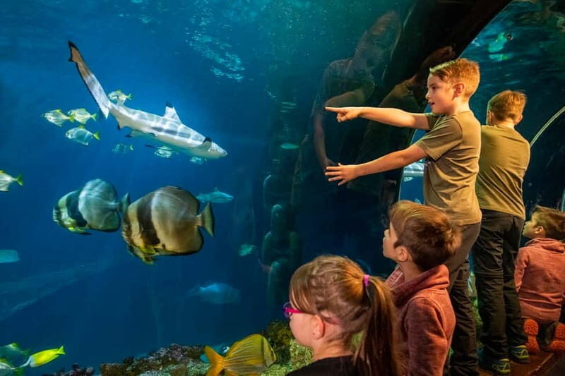 Munich: Day Ticket to Sea Life - The Practicalities: What to Know Before You Go