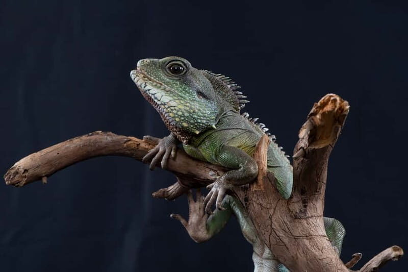 Munich: Day Ticket to Sea Life - How Visitors Feel: Authentic Reviews and Insights