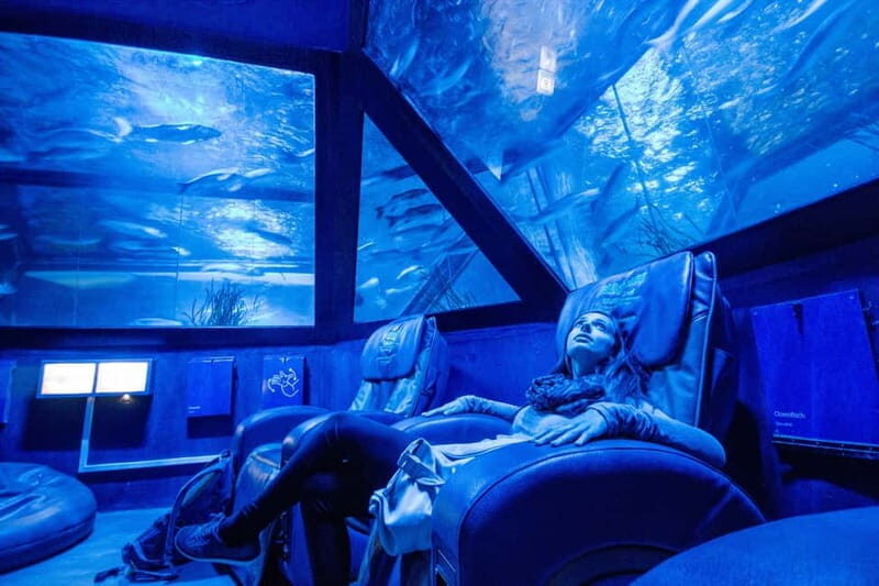 Munich: Day Ticket to Sea Life - Who Is This Experience For?