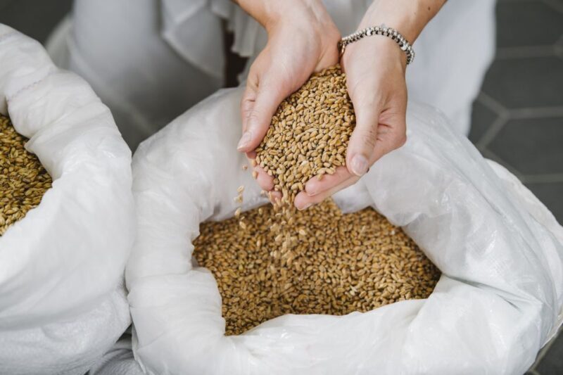 Munich: Exclusive Brewery Tour & Tasting of 4 Organic Beers - The Value of This Experience