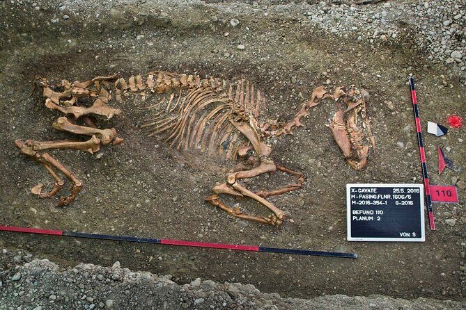 Munich Macabre Group Walking Tour - Practical details & considerations