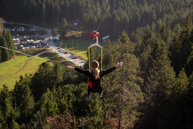 Munich : Neuschwanstein castel & Austria , private tour. - FAQ