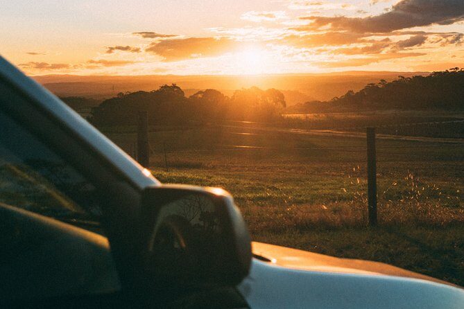 Munich to Prague - Private Transfer with 2 hours of Sightseeing - Who Should Consider This Service?