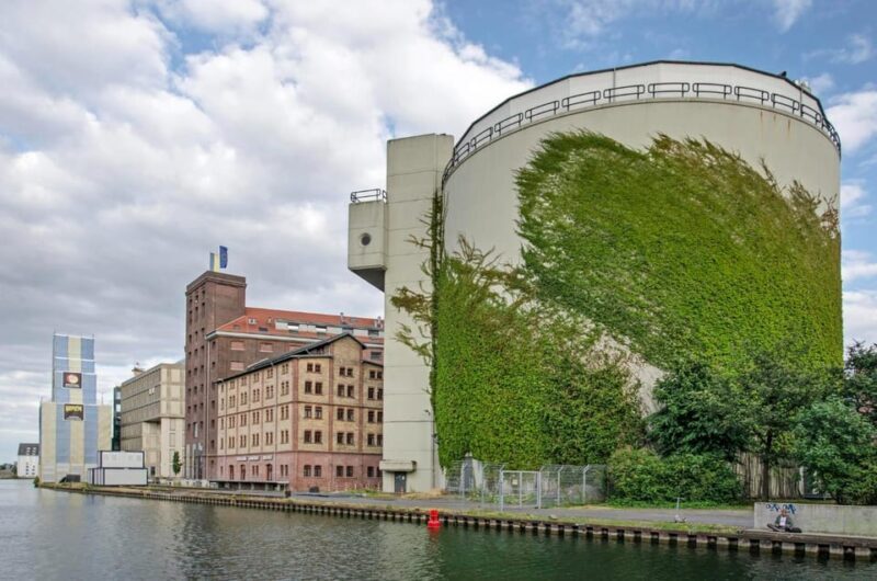 Munster: Insta-Perfect Walk with a Local - Exploring the Munster Walk in Detail