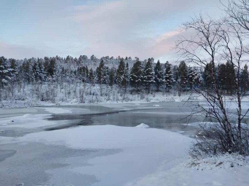 Muotkantunturi Park, Inari - Snowshoeing Experience - What to Expect from the Snowshoeing Adventure