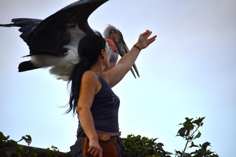 Murcia: Terra Natura Murcia Ticket Entry - Deep Dive: The Day at Terra Natura Murcia