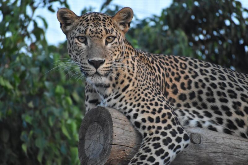 Murcia: Terra Natura Murcia Ticket Entry - Final Thoughts: Is Terra Natura Murcia Worth It?