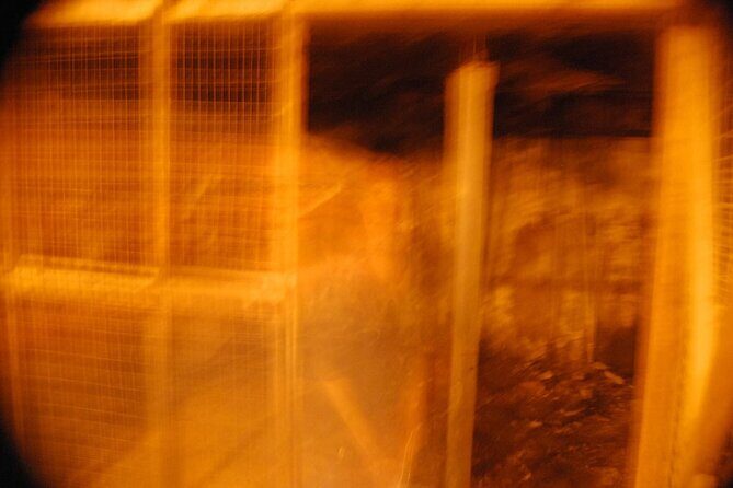 Murder & Mayhem Haunted History Walking Tour - FAQ