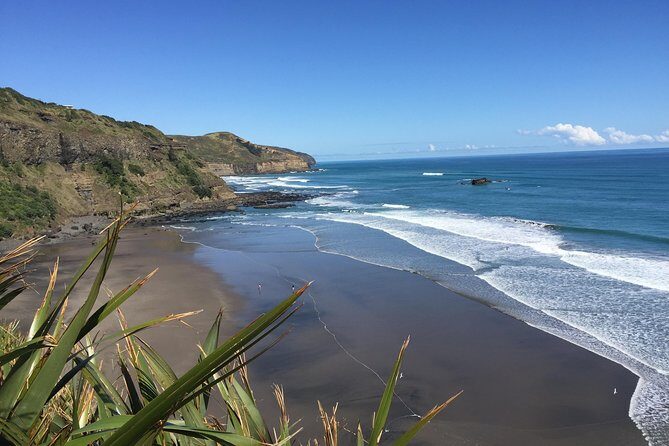 Muriwai Scenic Wine Tour from Auckland - What Is the Muriwai Scenic Wine Tour?