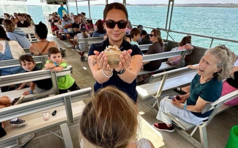Murrells Inlet: Saltwater Marsh Eco Tour w/ Marine Biologist - Who Will Love This Tour?
