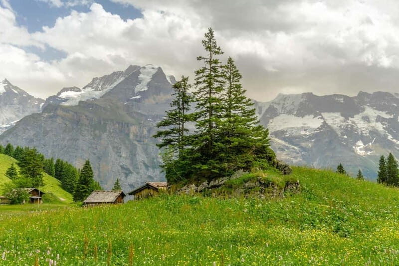 Murren - Private Guided Walking Tour - Final Thoughts: Is This Tour Right for You?