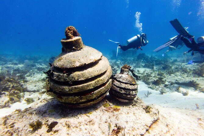 MUSA Museum and Colorful Reef 2 Tank Dive-Certified Divers - What the Tour Offers: A Dive into Isla Mujeres’ Underwater World