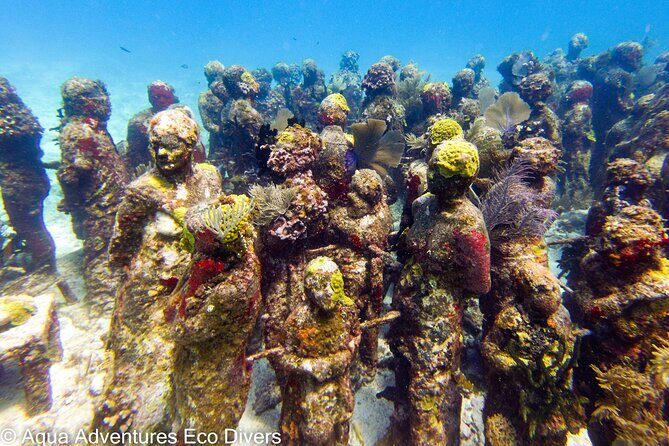 MUSA Museum and Colorful Reef 2 Tank Dive-Certified Divers - Who This Tour Is Best For