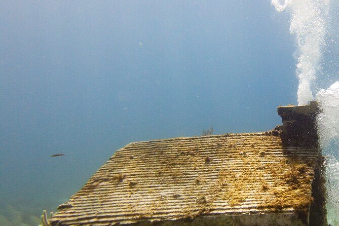 MUSA Museum and Colorful Reef 2 Tank Dive-Certified Divers - FAQ