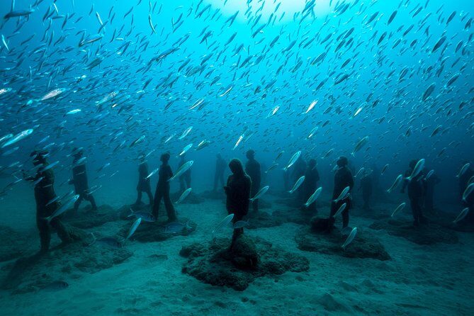 Museo Atlantico for non-certified divers - FAQ
