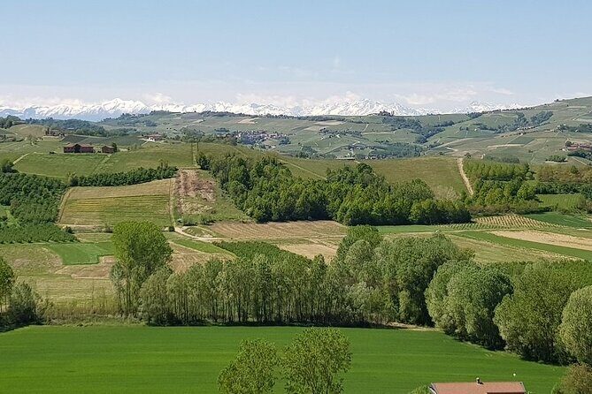 Museo delle Langhe Entrance Ticket - Exploring the Museo delle Langhe Entrance Ticket: An Honest Look