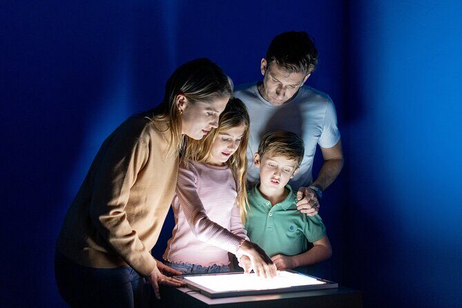 Museum of Illusions Alicante Entrance ticket - The Value of the Ticket and Overall Cost