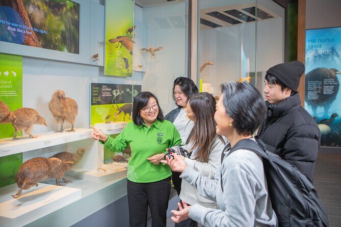 Museum of New Zealand Te Papa Tongarewa: Introducing Te Papa Tour - Key Points