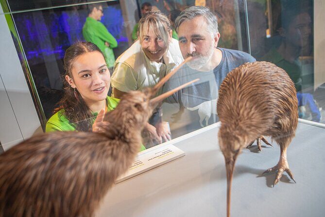 Museum of NZ Te Papa Tongarewa: International Visitor Entry - FAQ