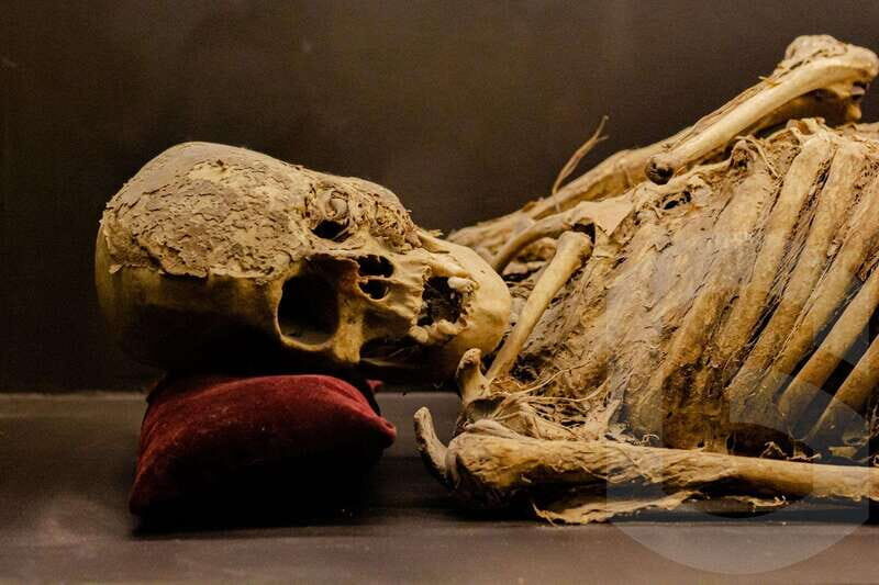 Museums and Mines of Guanajuato Private Tour - FAQ