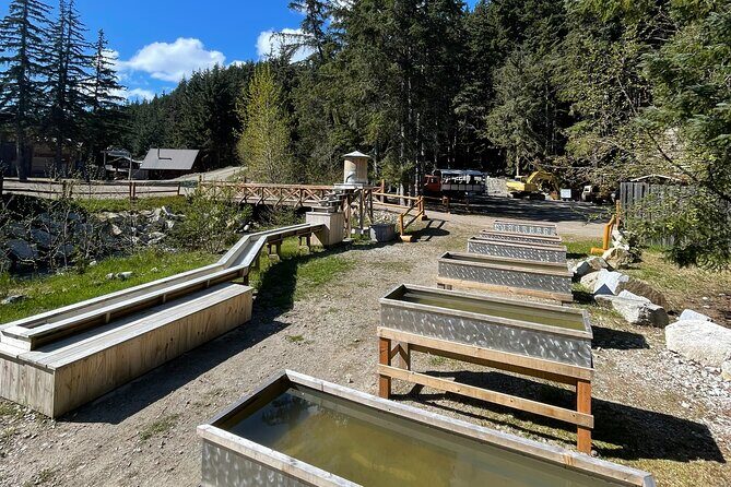 Musher's Camp and Gold Panning Adventure - Who Should Consider This Tour?