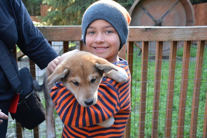 Musher's Camp and S'more Roasting Experience - Who Will Love This Tour?