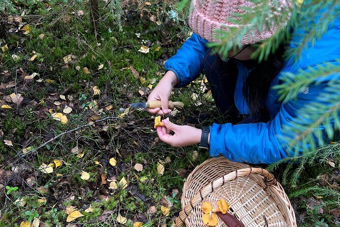 Mushroom Hunting in a National Park - Who Will Love This Tour?