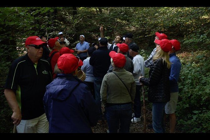 Mushroom or Truffle Hunting - Key Points