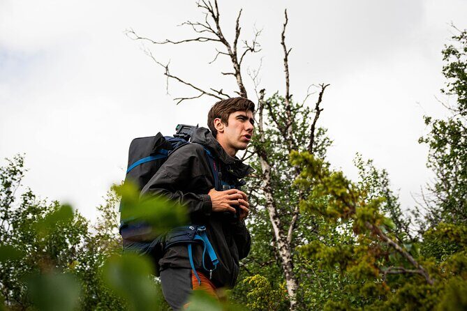 Muskox Safari from Hjerkinn | Dovre & Lesja Aktiv - A Deep Dive into the Muskox Safari Experience