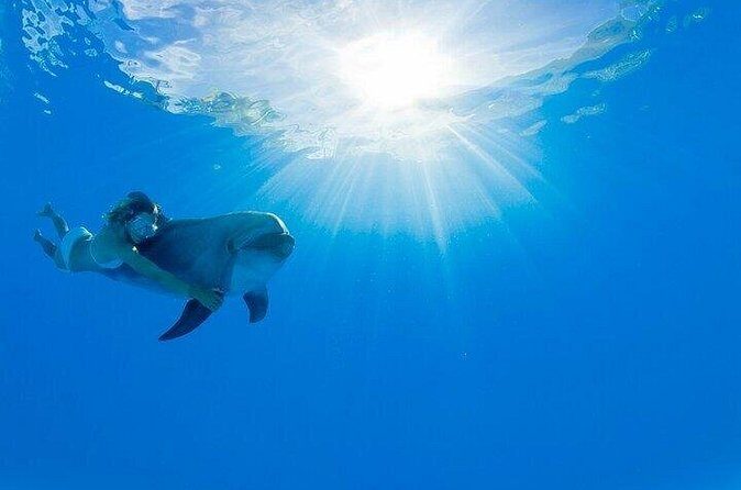 Must-DO The only and Unique Natural Space Dolphin Encounter Cabo - Is This Tour Right for You?