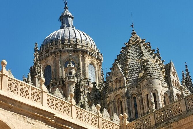 Must see Salamanca Walking Tour (could be billingual) - Who Will Love This Tour?