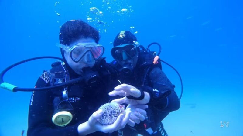 My first scuba dive in the Ocean from Madeira - Why This Tour Stands Out