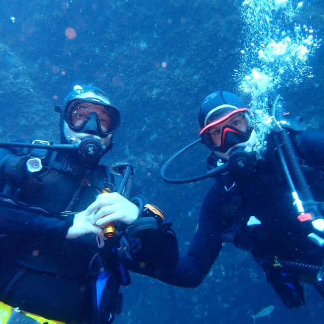 My First Scuba Dive into the Ocean from Terceira - Azores - Diving into the Azores: What to Expect