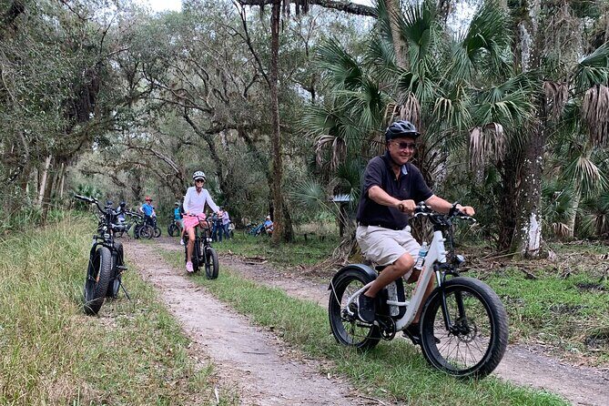 Myakka State Park E-bike Safari - Stop 1: Myakka Canopy Walkway