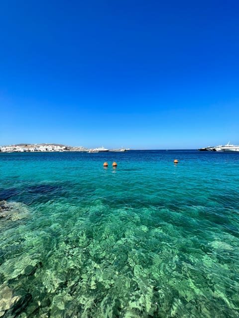 Mykonos: Beach Hopping Tour by Van - What the Reviews Say