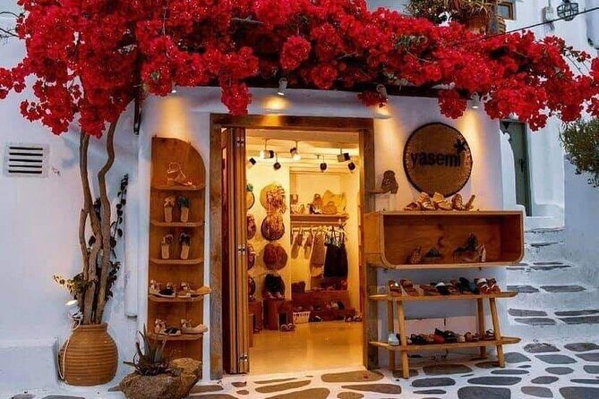 Mykonos Coastal Delights: A Cruise Passenger's Dream Day - Who Is This Tour Best For?