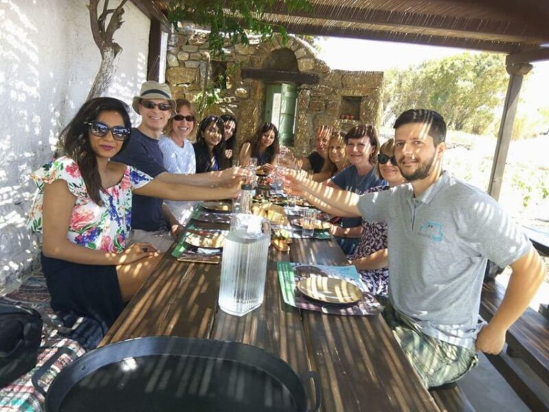 Mykonos: Farm, Ano Mera Village, and Beaches Guided Tour - Who Is This Tour Best For?